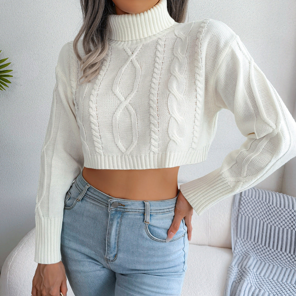 Cropped Strickpullover mit Rollkragen – Streetstyle Edition